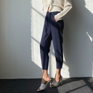 Aritzia Babaton Dexter Pant in Navy